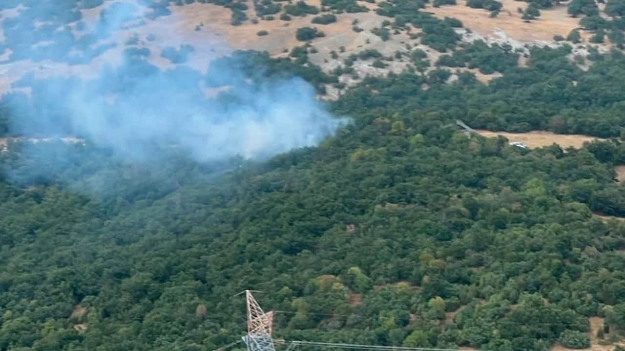 Ormanlık alanda alevler yükseldi! Helikopter destekli müdahaleyle söndürüldü
