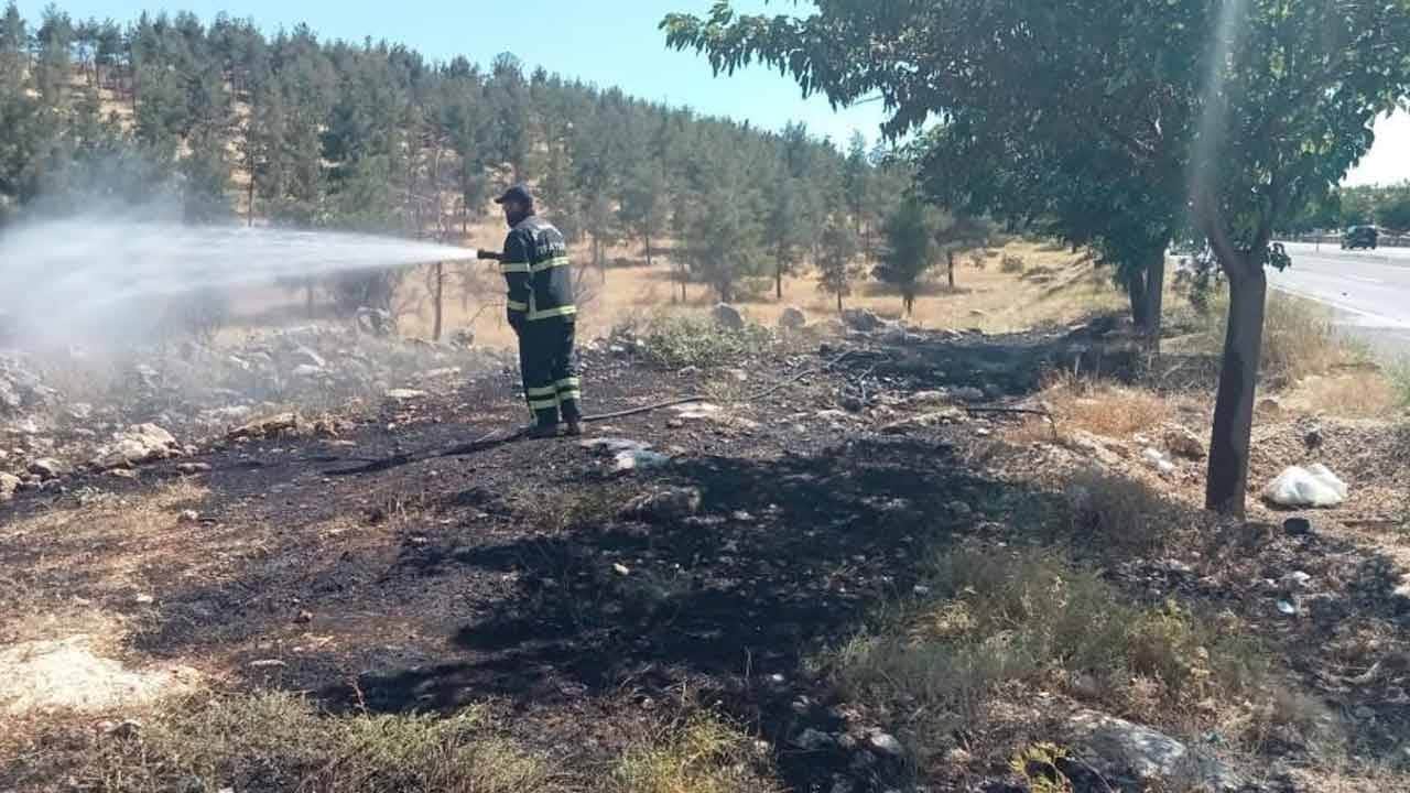 Şanlıurfa'daki orman yangını kontrol altında