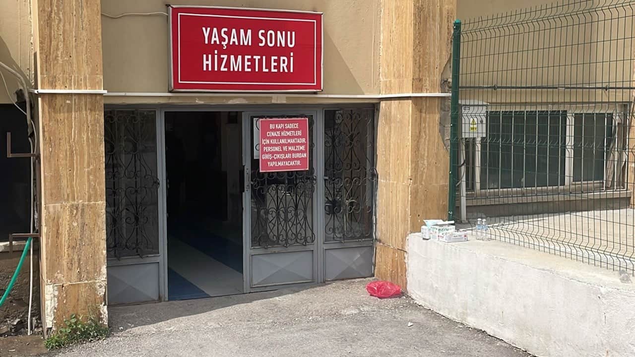 Sivas'ta kene yine can aldı! Kuzeni de kene yapışması sonucu ölmüş
