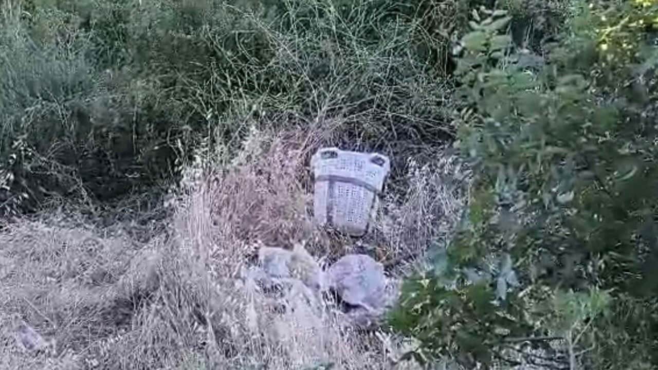 Traktör uçuruma yuvarlandı! 4 çocuk babası hayatını kaybetti