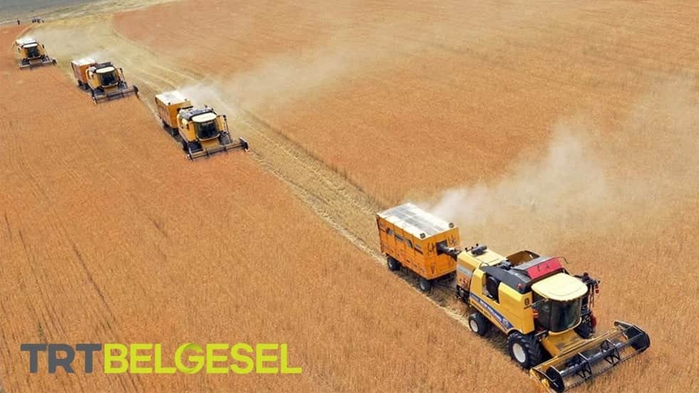 TRT’den tarıma destek! 'Hasat Vakti' izleyiciyle buluşuyor