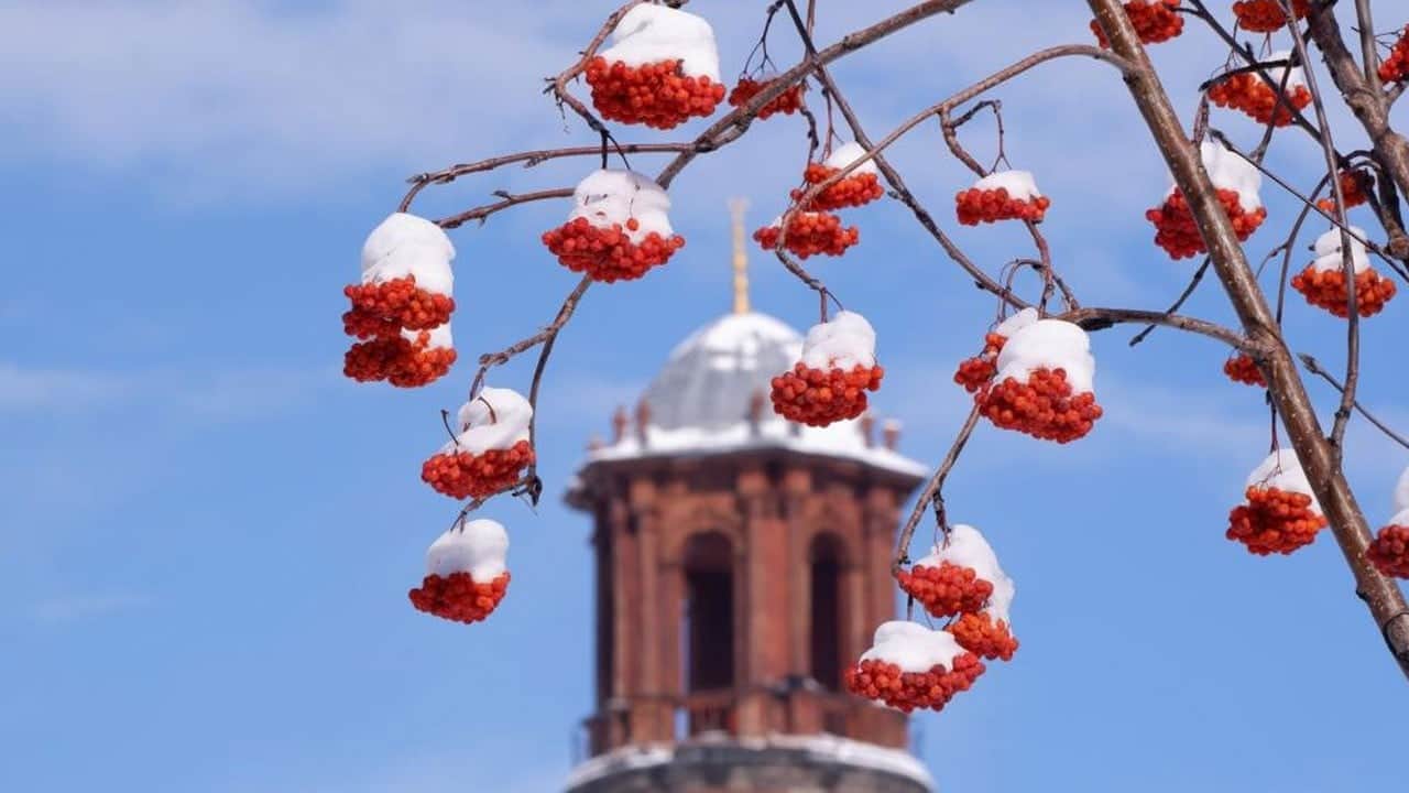 Uzmanlardan buzlanma, don ve çığ uyarısı