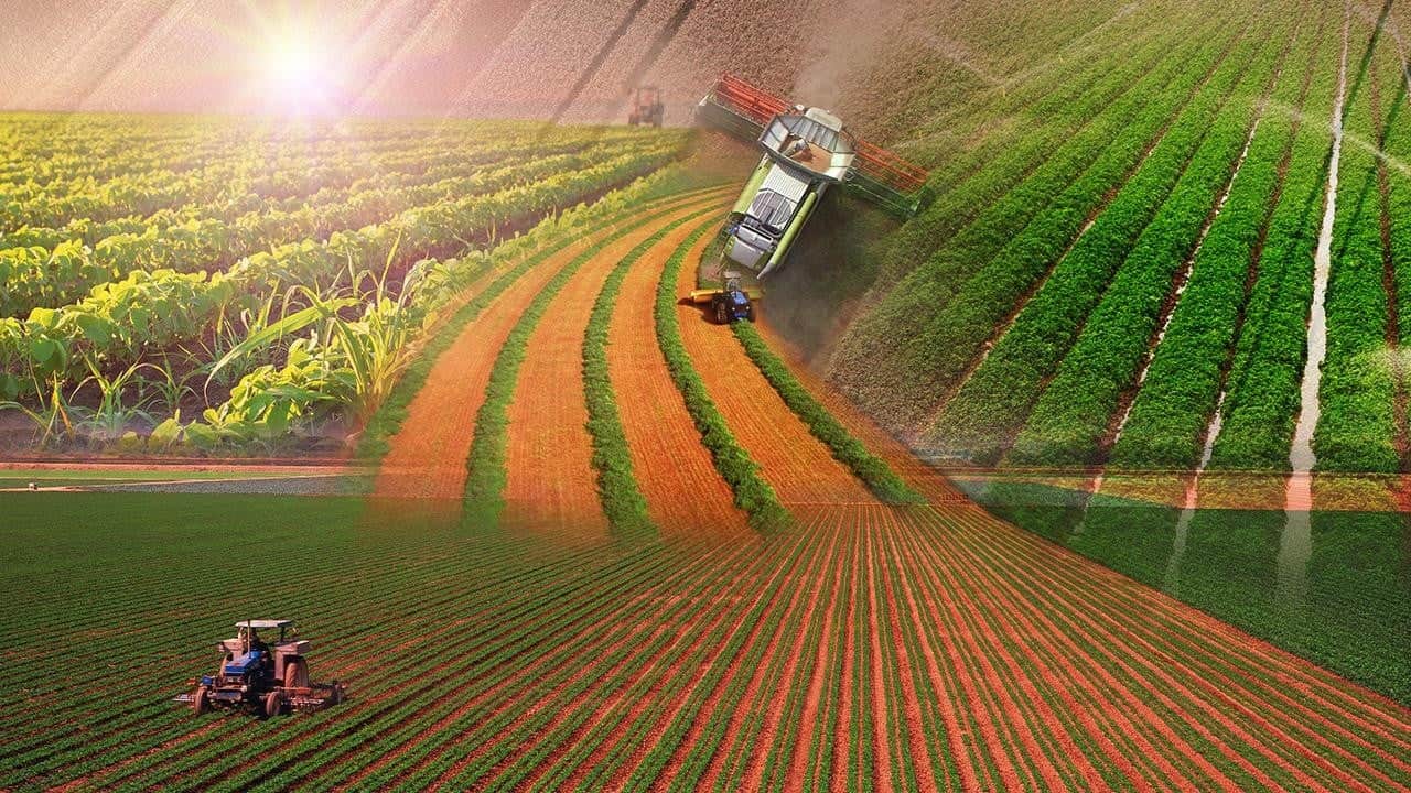 Yağmur bereketiyle geldi! Su kaynaklarına ve tarımsal üretime olumlu yansıdı