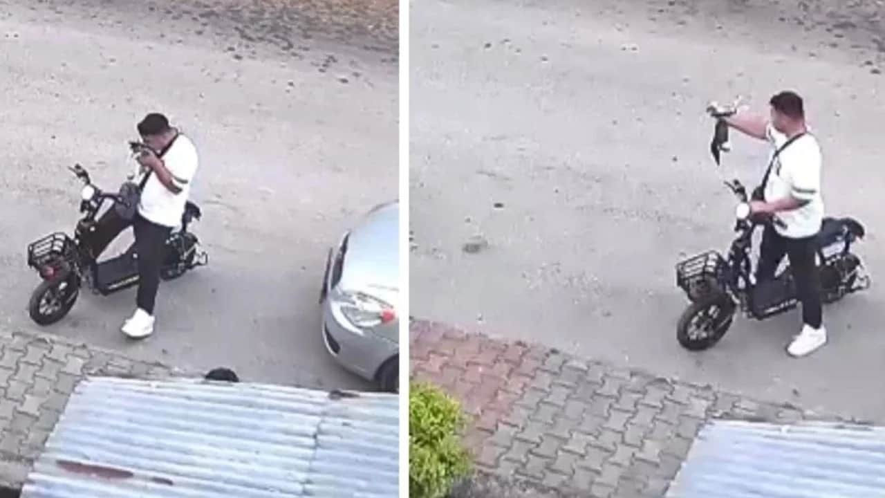 Yavru kediyi önce sevip öptü sonra boğarak öldürdü!