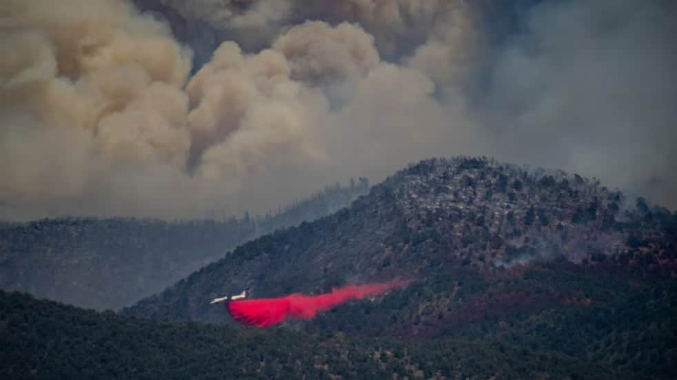 Yaz geldi! ABD’de orman yangını sezonu açıldı