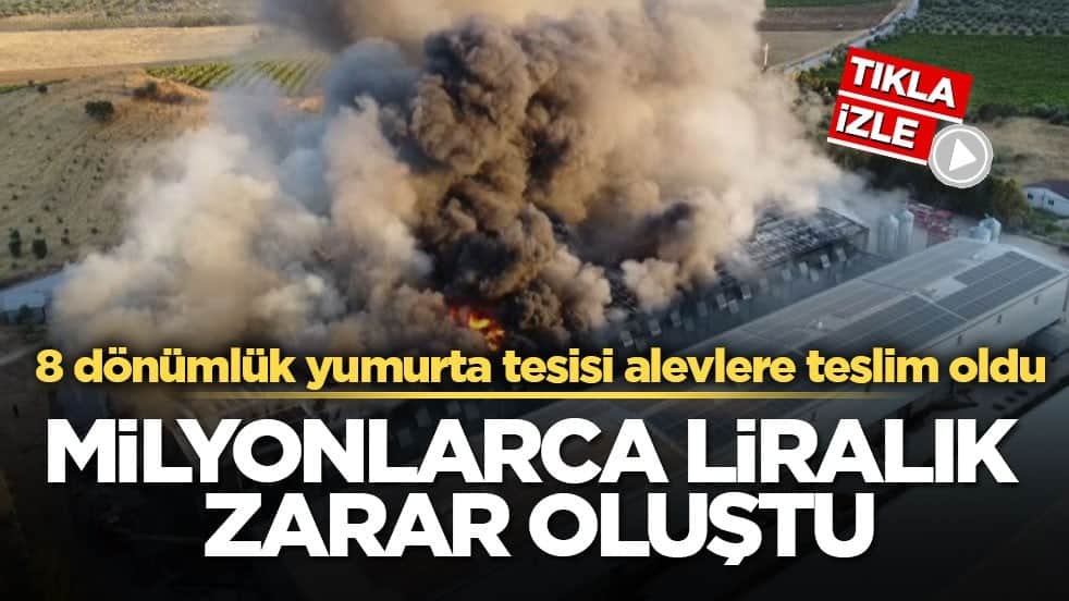 8 dönümlük yumurta tesisi alevlere teslim oldu! Milyonlarca liralık zarar oluştu