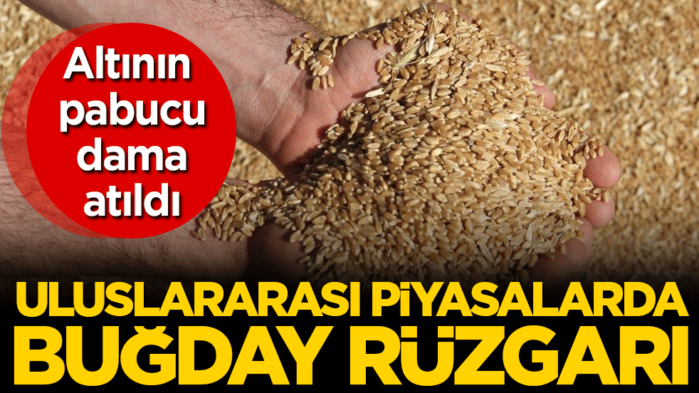 Altının pabucu dama atıldı: Uluslarası piyasalarda buğday rüzgarı!