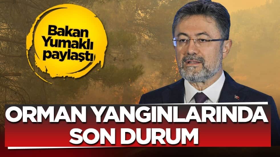Bakan Yumaklı paylaştı! Orman yangınlarında son durum