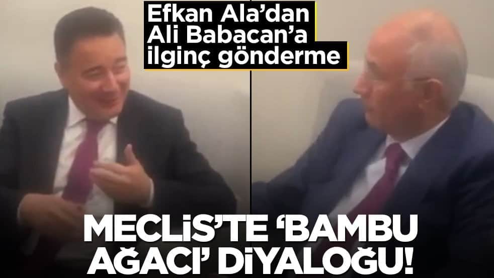 Efkan Ala’dan Ali Babacan’a ilginç gönderme! Meclis’te ‘Bambu ağacı’ diyaloğu!