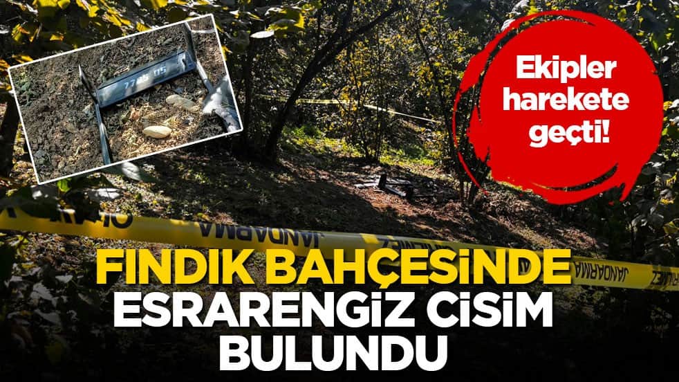 Ekipler harekete geçti! Fındık bahçesinde esrarengiz cisim bulundu
