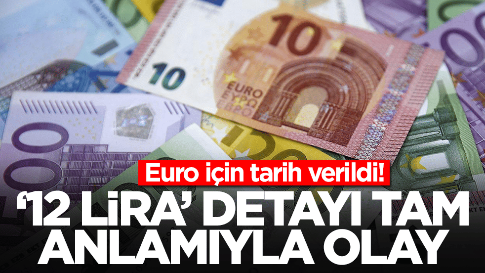 Açıkladılar: Euro 12 lira değişecek