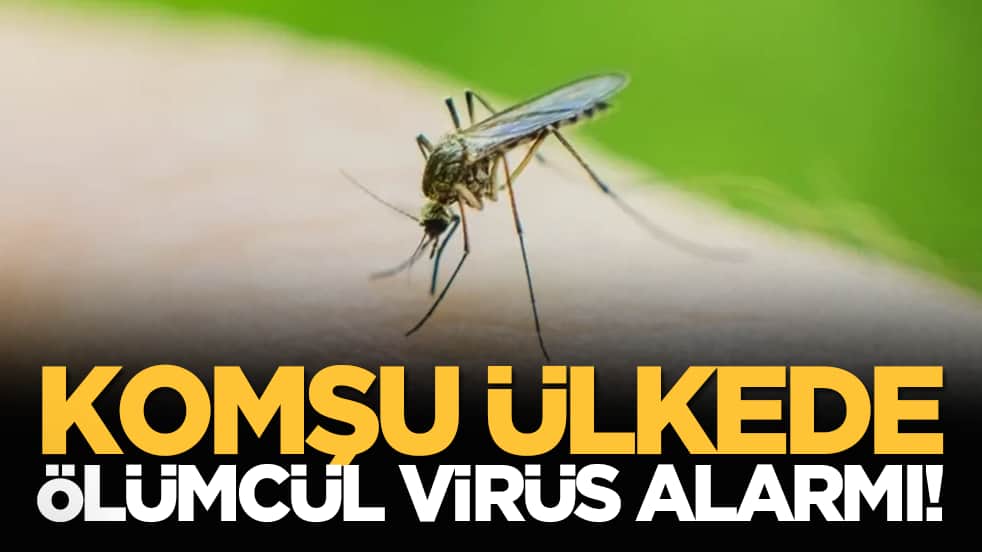 Komşu ülkede ölümcül virüs alarmı!