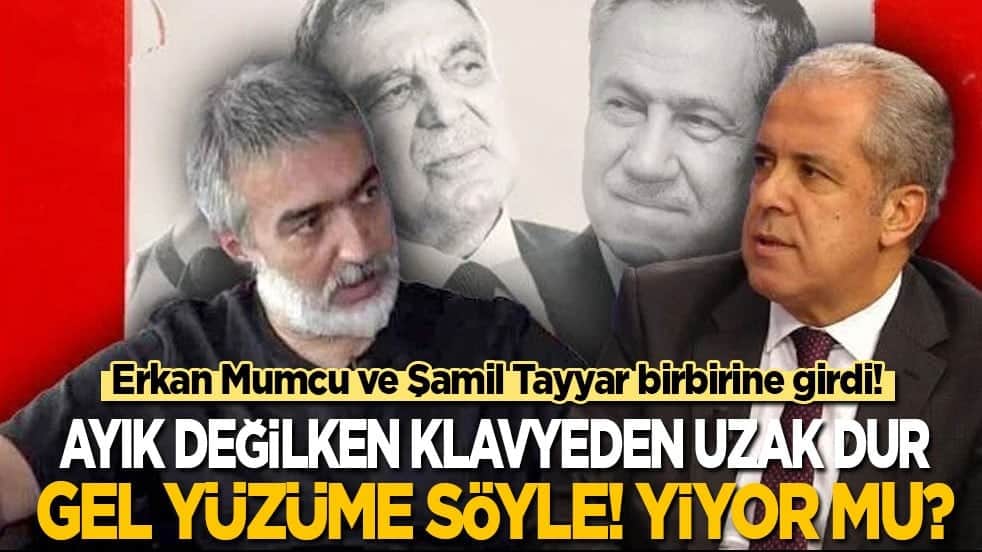 Şamil Tayyar ile Erkan Mumcu birbirine girdi! Tayyar: Ayık değilken klavyeden uzak dur! Mumcu: Gel yüzüme söyle! Yiyor mu?
