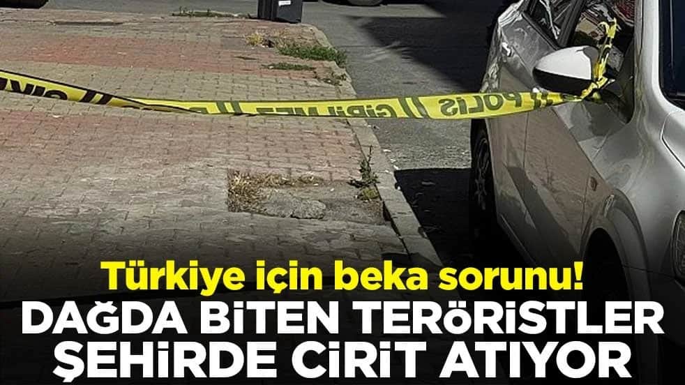 Türkiye için beka sorunu! Dağda biten teröristler şehirde cirit atıyor
