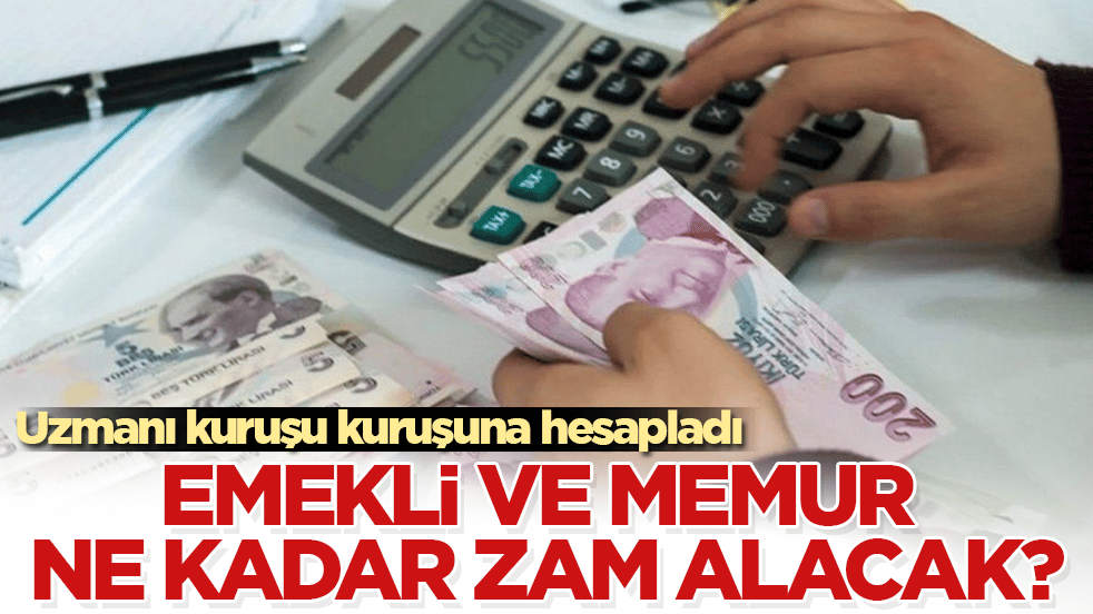 Uzmanı kuruşu kuruşuna hesapladı! Emekli ve memur ne kadar zam alacak?