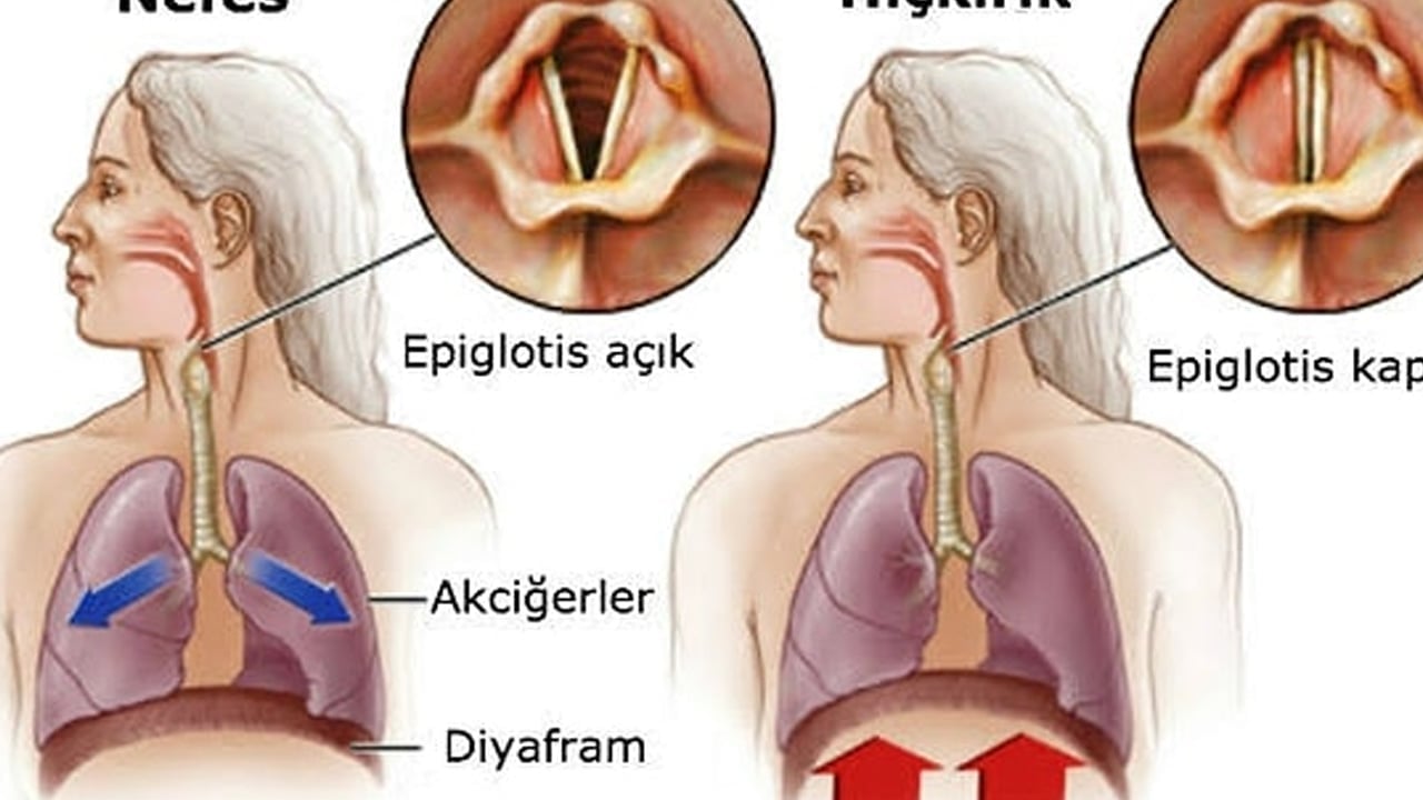 Foto - 1 bardak soğuk su verin, biiznillah çare oluyor: Bu yüzden hıçkırığı anında kesiyor! Desteği sağlayan uygulamalar