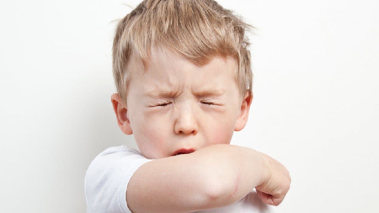 1 çay kaşığı yetiyor: Gece öksürüğüne son, şifa olacak bu besin!