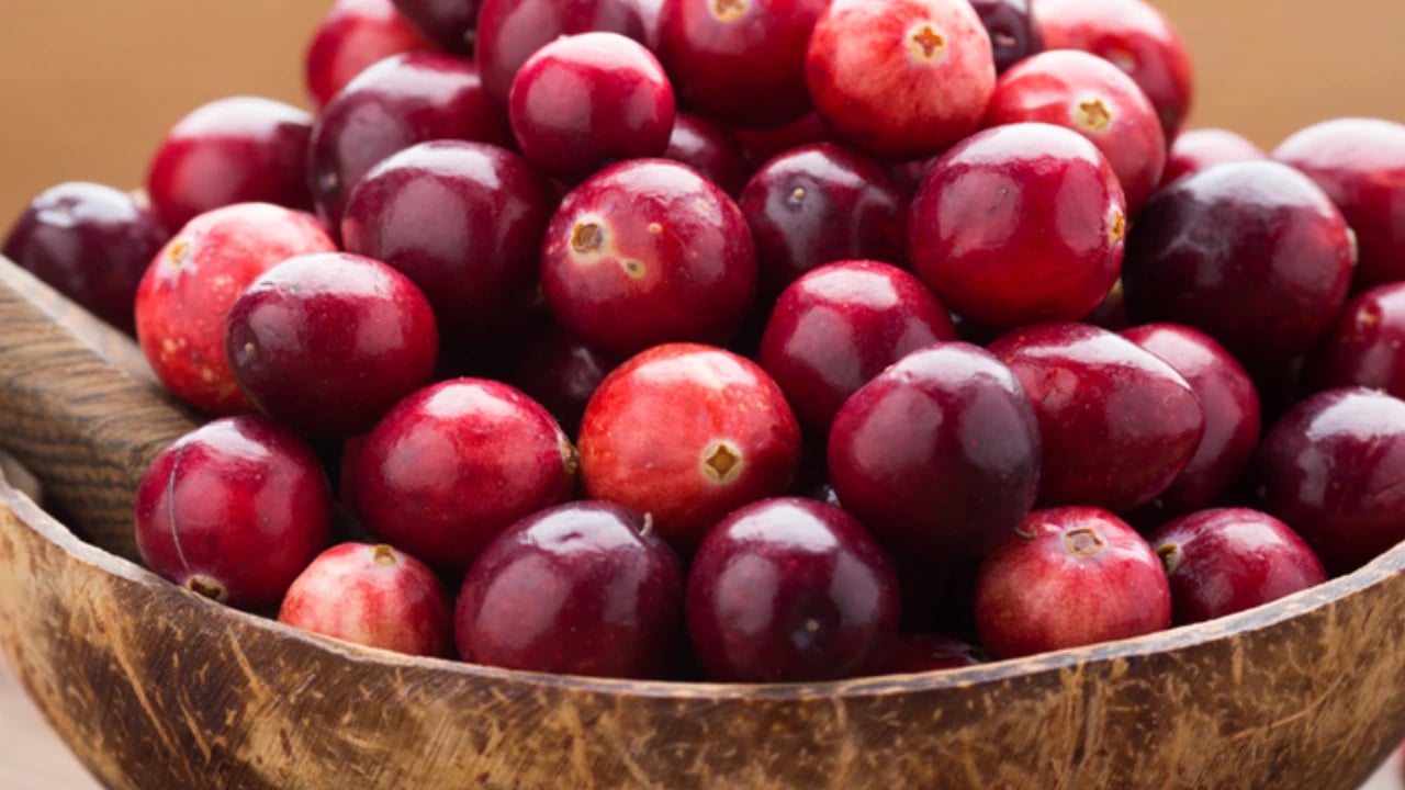 Foto - 1 ekiliyor bin tane olarak çıkıyor hem de bakım nedir bilmiyor: Bu faydasını duyunca çok şaşıracaksınız! İşte faydaları