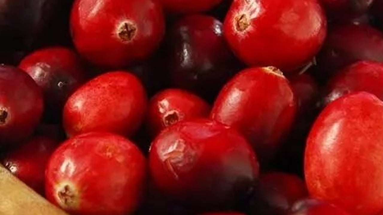 1 ekiliyor bin tane olarak çıkıyor hem de bakım nedir bilmiyor: Bu faydasını duyunca çok şaşıracaksınız! İşte faydaları