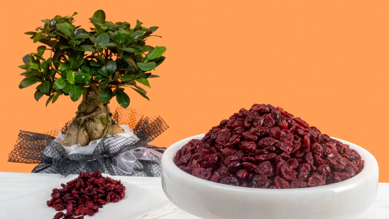 Foto - 1 ekiliyor bin tane olarak çıkıyor hem de bakım nedir bilmiyor: Bu faydasını duyunca çok şaşıracaksınız! İşte faydaları