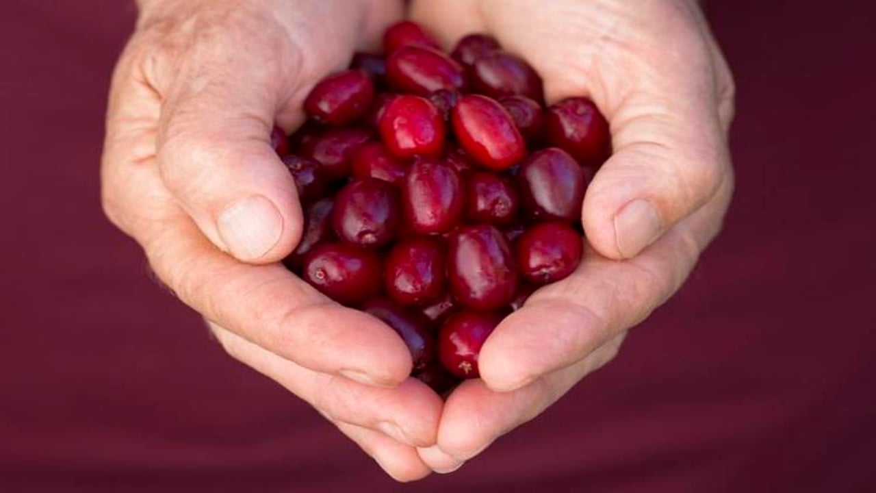 Foto - 1 litre suda 15 dakika kaynatın! Osman Müftüoğlu öneriyor, vücuttaki iltihabı söküp atıyor