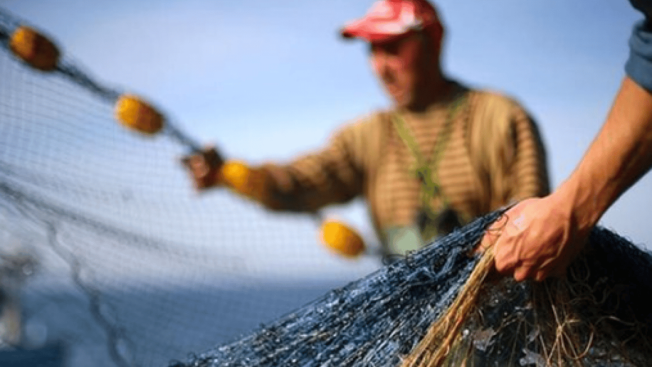 Foto - 1 Ocak itibarıyla her şey değişiyor! İşte 2026'da hayatımıza girecek yeni yasaklar ve zorunluluklar
