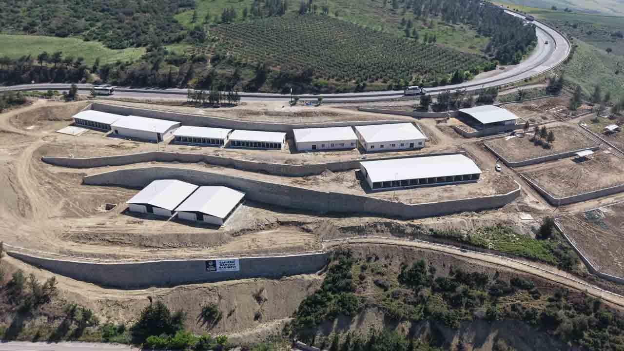 Foto - 10 bin hayvana yuva: Açılış Kurban Bayramı öncesi