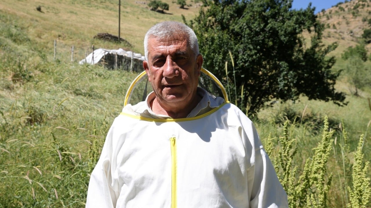 Foto - 100 kovanla üretime geçti Bitlis’in meşhur Hizan balına kadın eli değdi