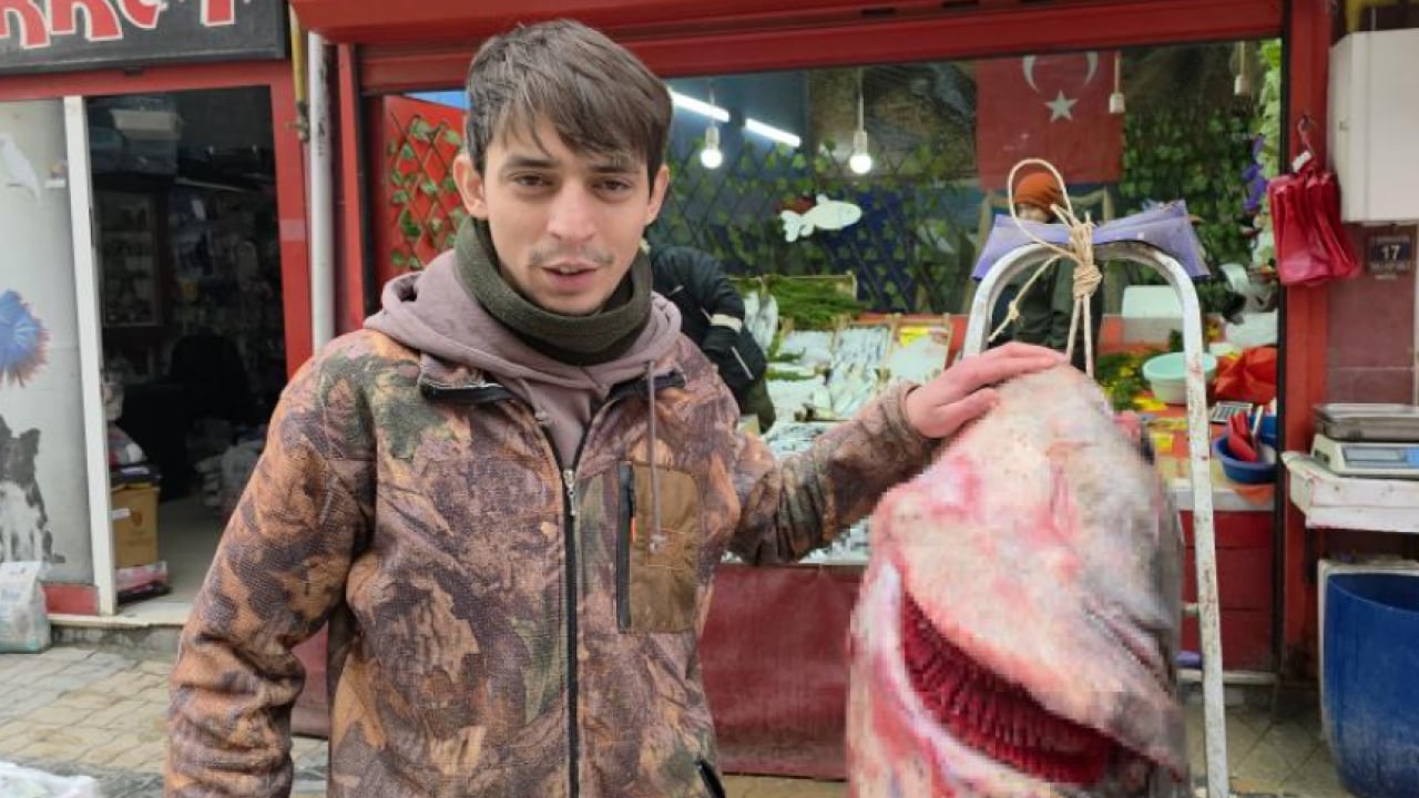 Foto - 102 kiloluk dev balık kıyıya vurdu! Görenler hayrete düştü