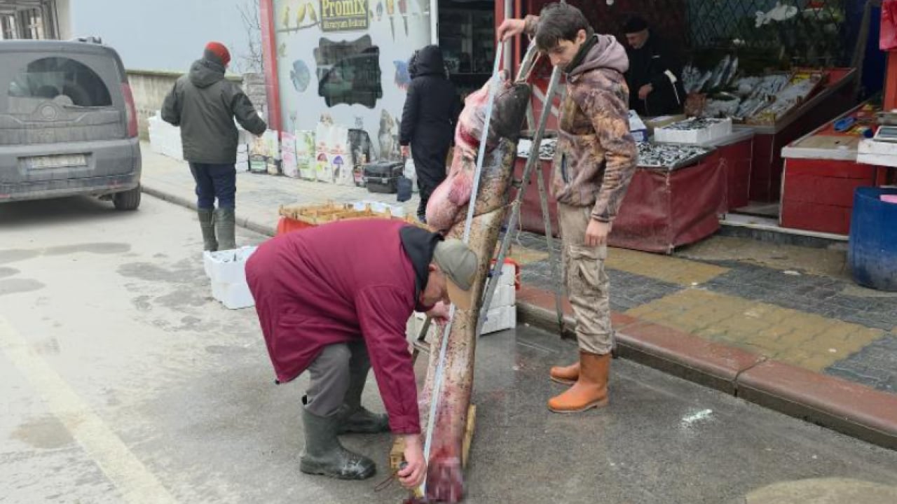 Foto - 102 kiloluk dev balık kıyıya vurdu! Görenler hayrete düştü