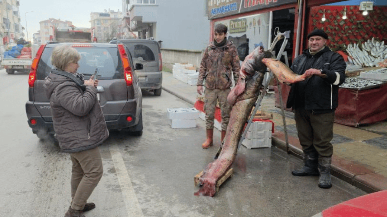 Foto - 102 kiloluk dev balık kıyıya vurdu! Görenler hayrete düştü