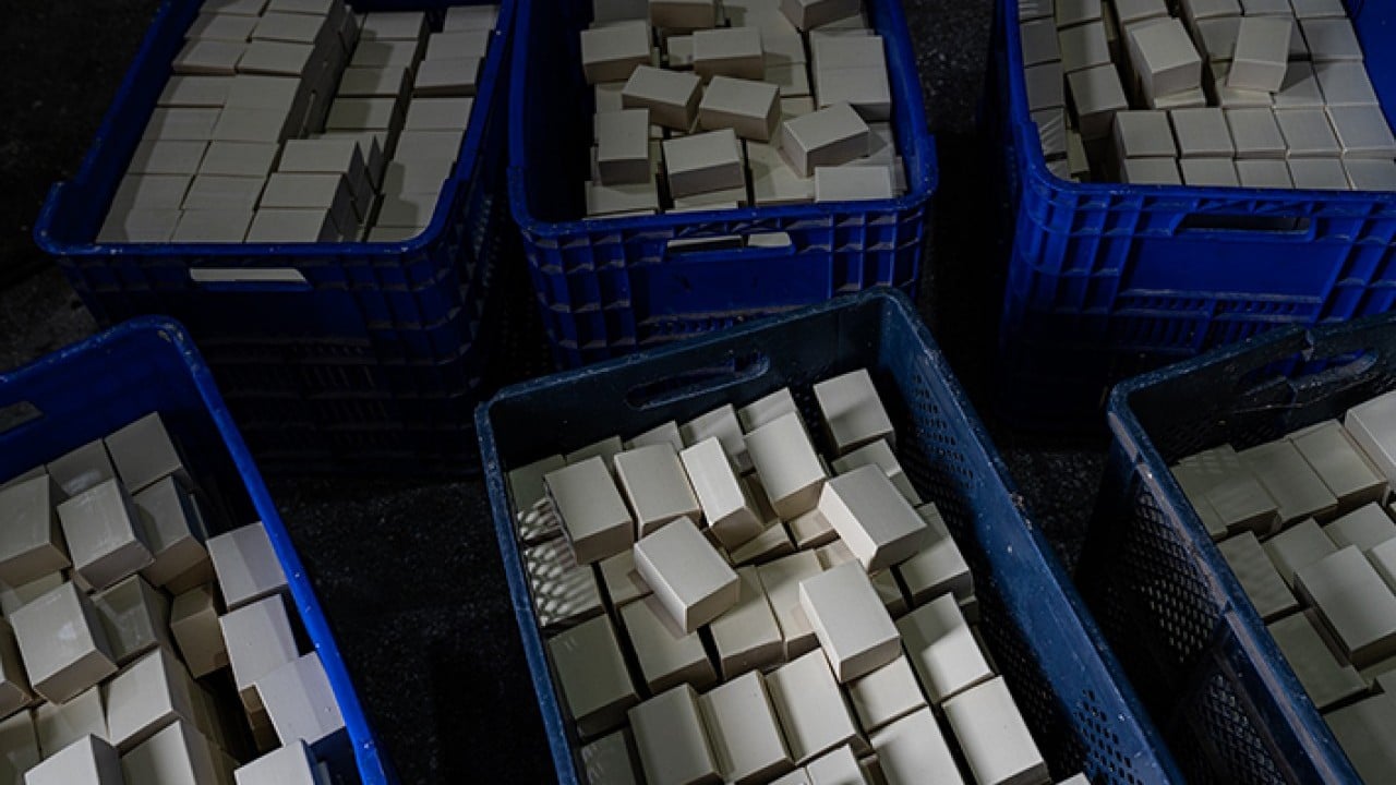 Foto - 109 ülkeye ihraç ediliyor Tek başına dünyayı temizliyor