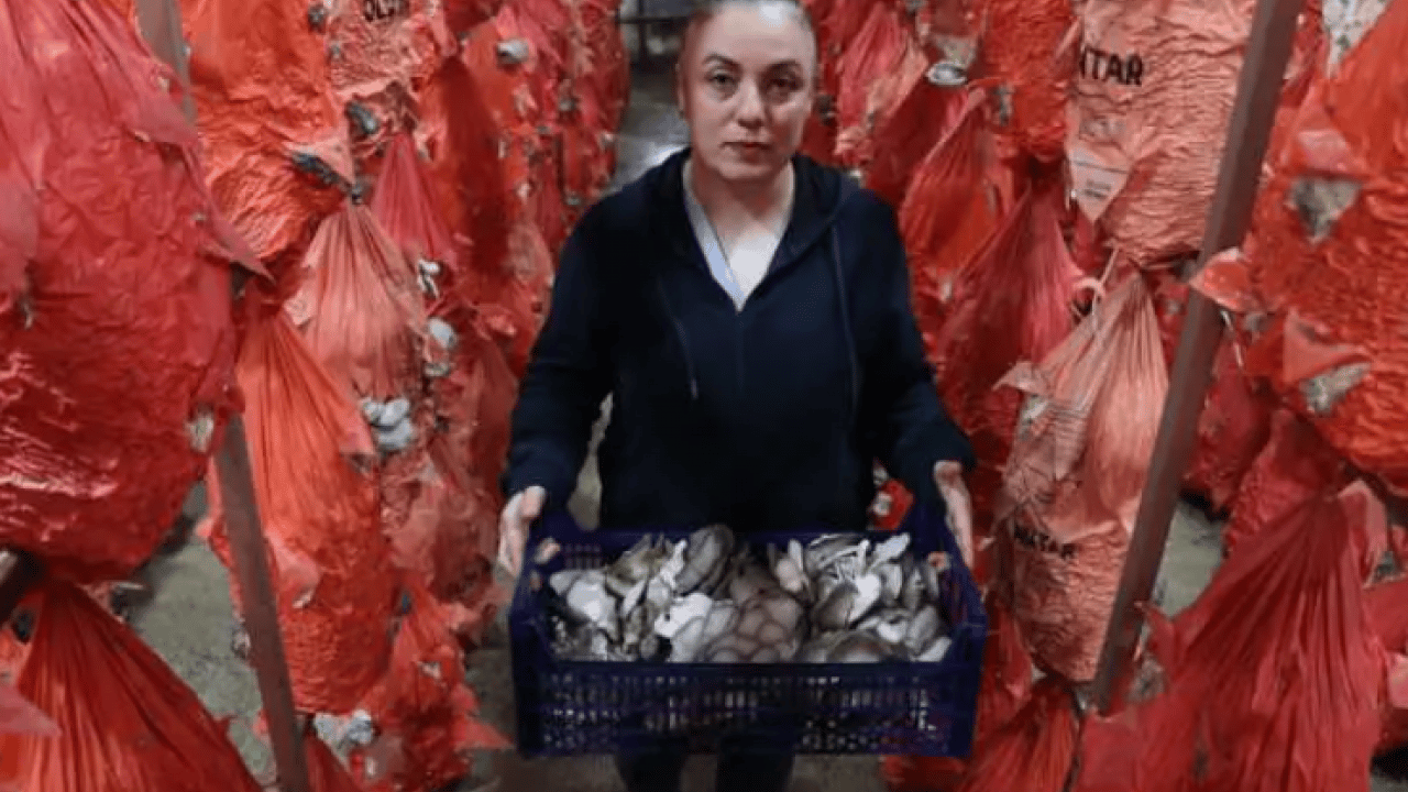Foto - 11 hafta eğitim aldı bu işe başladı: Herkes zehirlenmeyelim diyor!