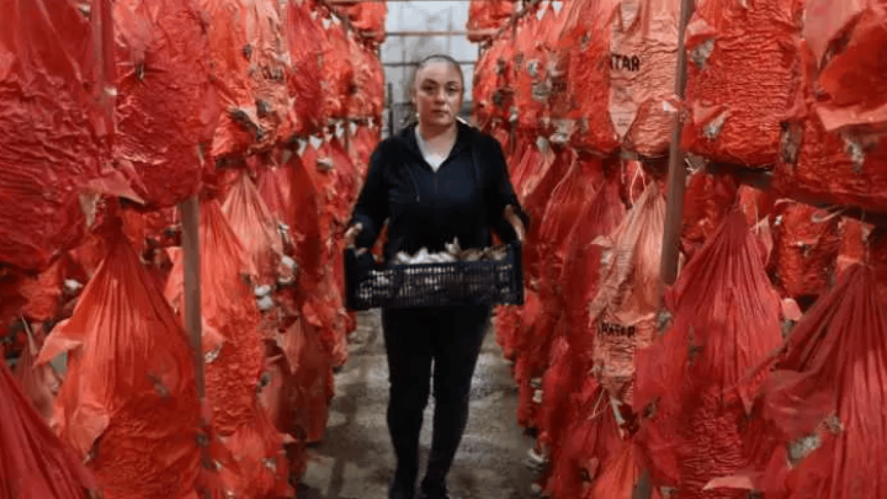 Foto - 11 hafta eğitim aldı bu işe başladı: Herkes zehirlenmeyelim diyor!