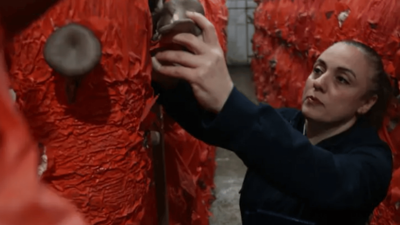 Foto - 11 hafta eğitim aldı bu işe başladı: Herkes zehirlenmeyelim diyor!