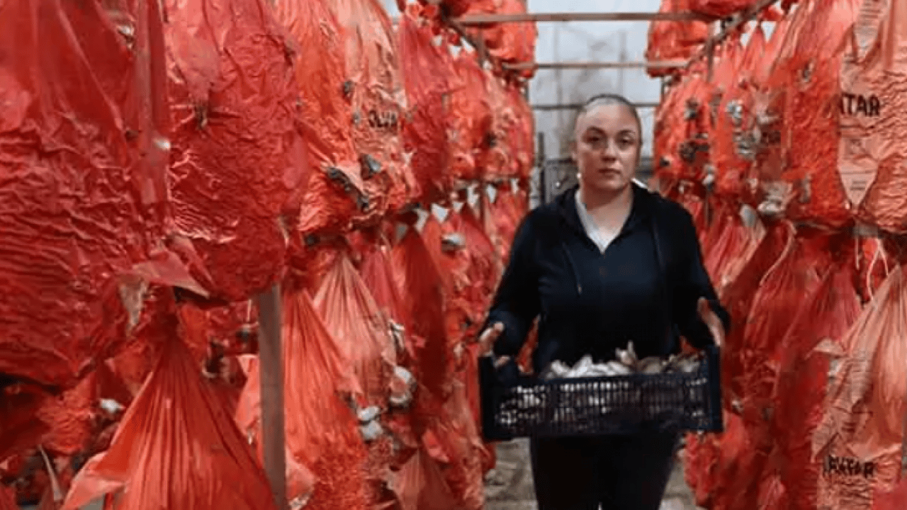 Foto - 11 hafta eğitim aldı bu işe başladı: Herkes zehirlenmeyelim diyor!