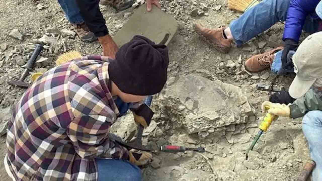 Foto - 11 yaşındaki çocuk nadir fosil buldu: Milyonlarca yıllık keşfin heyecanı