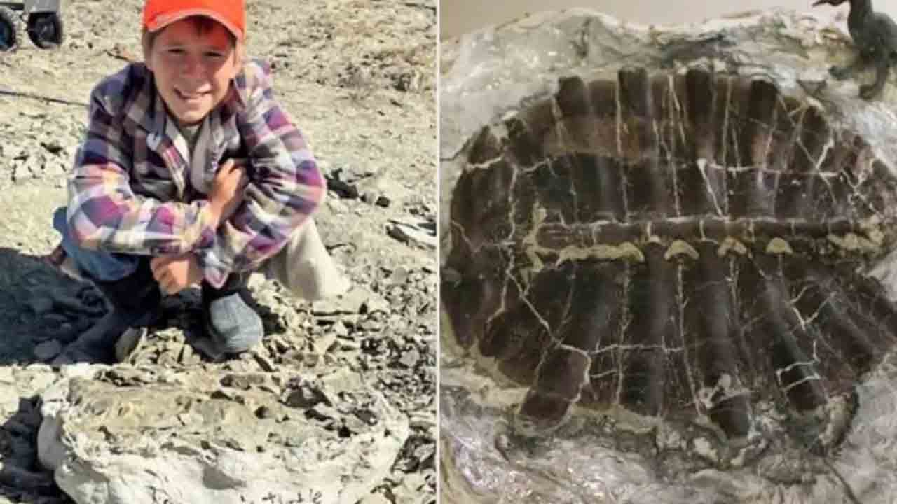 Foto - 11 yaşındaki çocuk nadir fosil buldu: Milyonlarca yıllık keşfin heyecanı