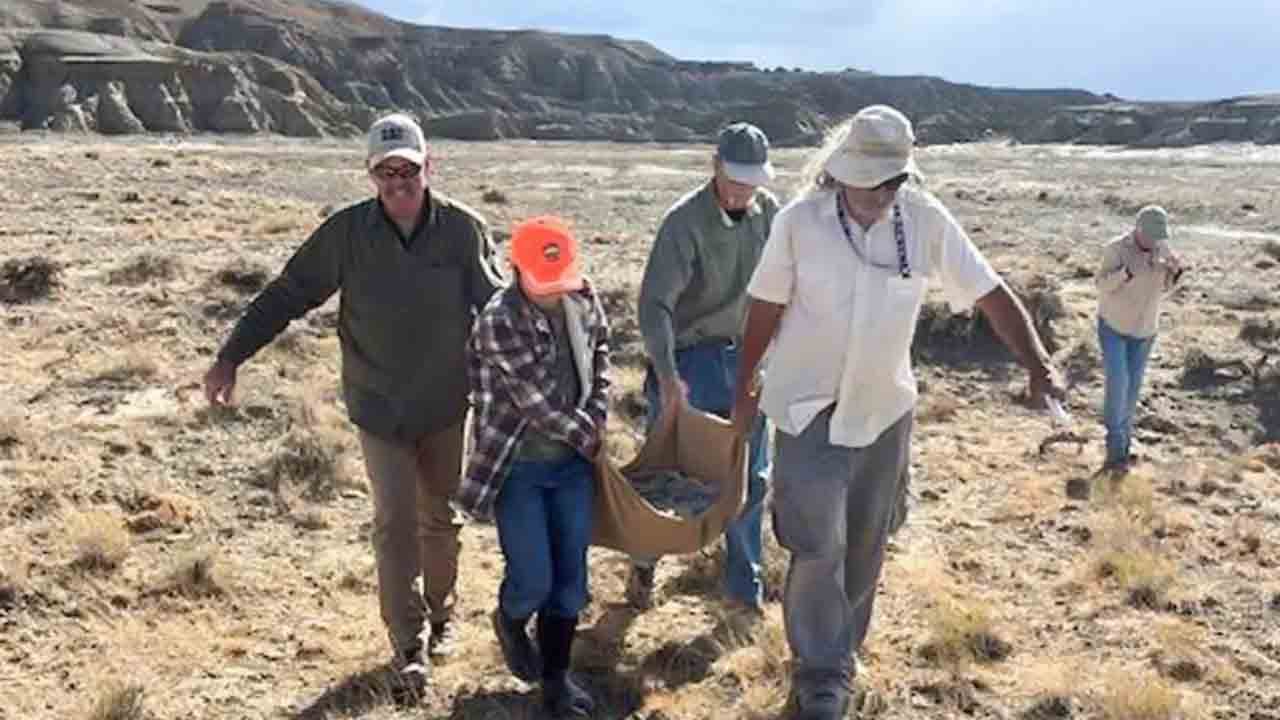 Foto - 11 yaşındaki çocuk nadir fosil buldu: Milyonlarca yıllık keşfin heyecanı