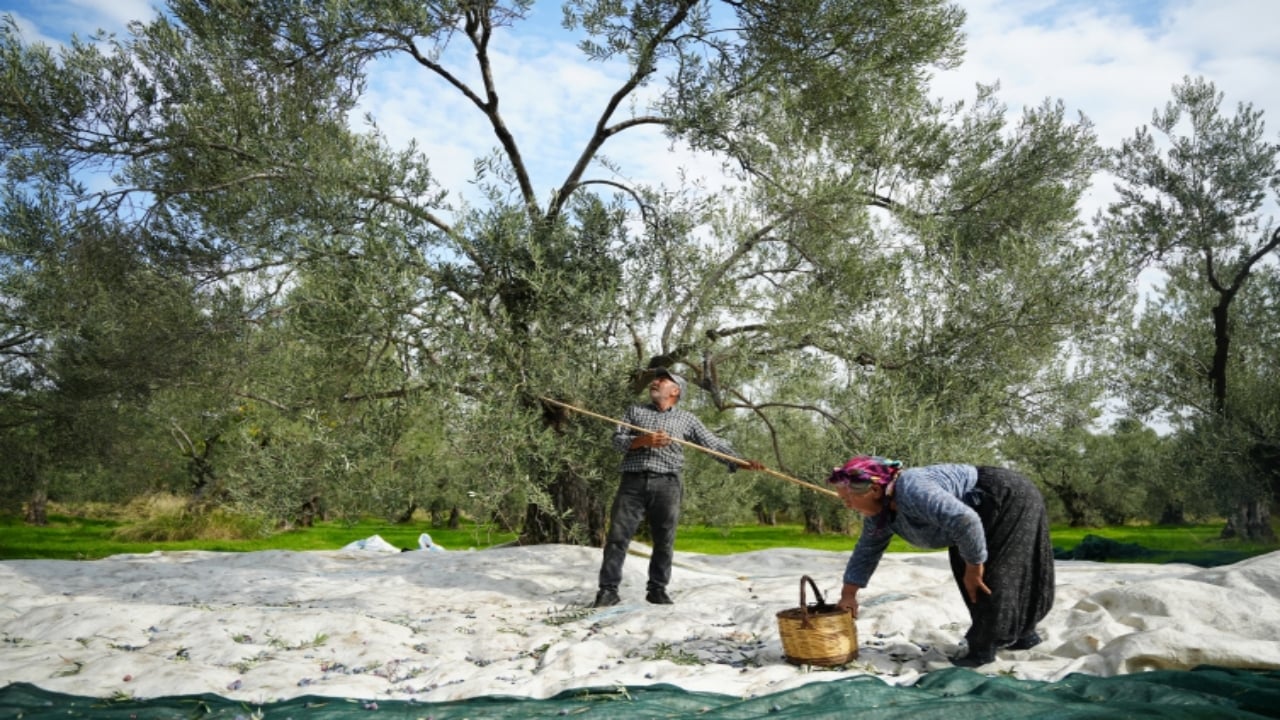 Foto - 12 bin dönümlük alanda kuş uçurtmuyor! Dronlu süper bekçi görevde