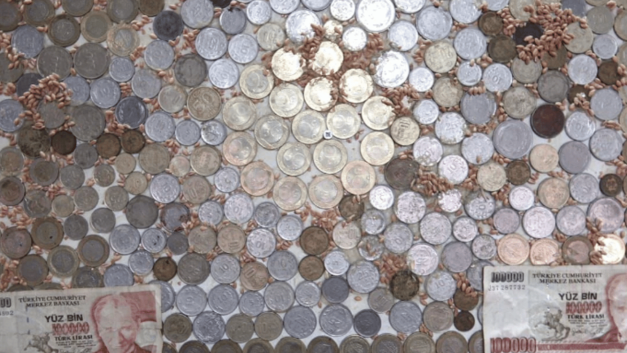 Foto - 12 yaşında bir hevesle başladı! 20 yıldır koleksiyon yapıyor