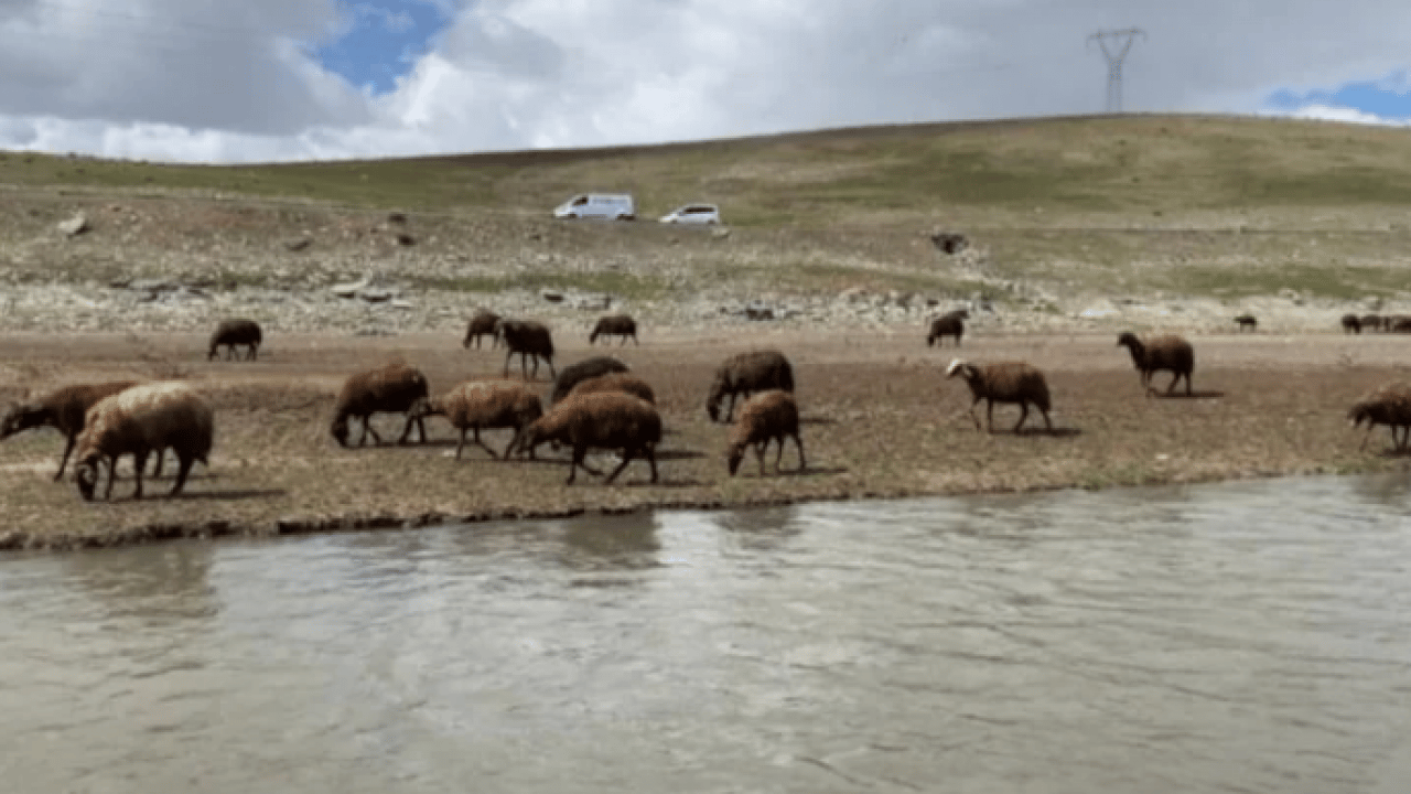 120 bin lira maaşla işçi bulamıyorlar! Kendi işlerini hallediyorlar!