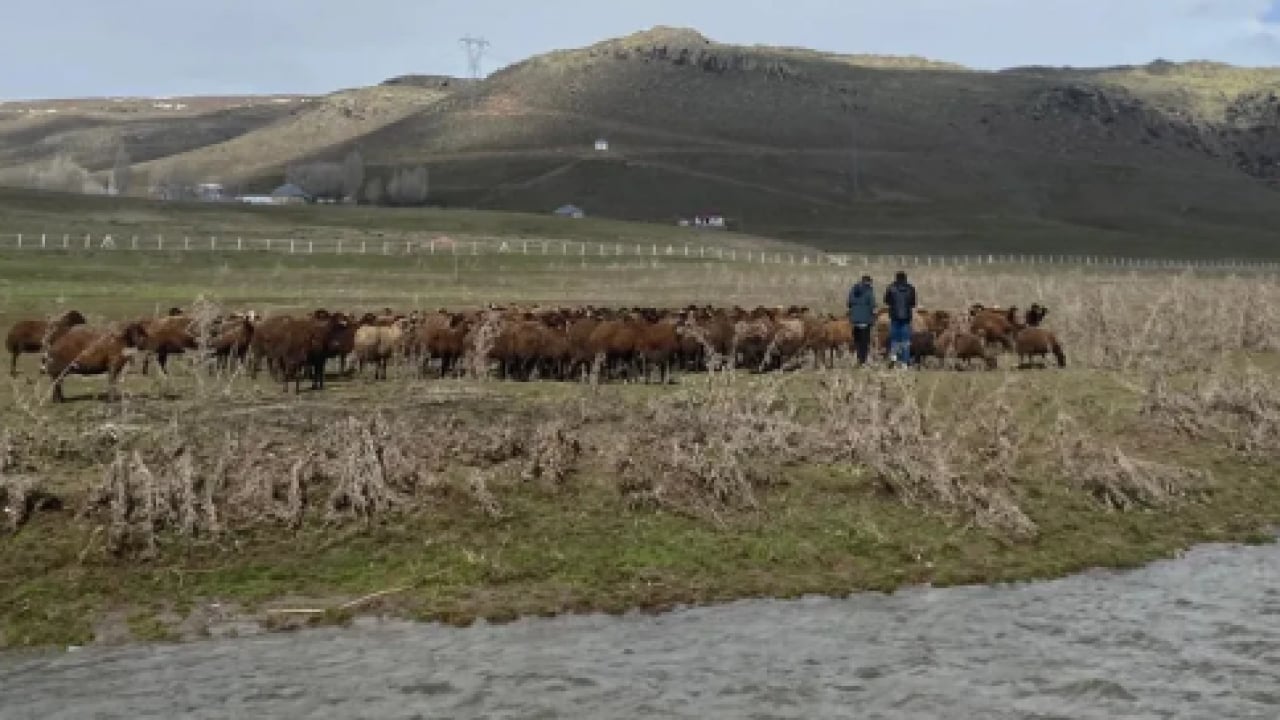 Foto - 120 bin lira maaşla işçi bulamıyorlar! Kendi işlerini hallediyorlar!