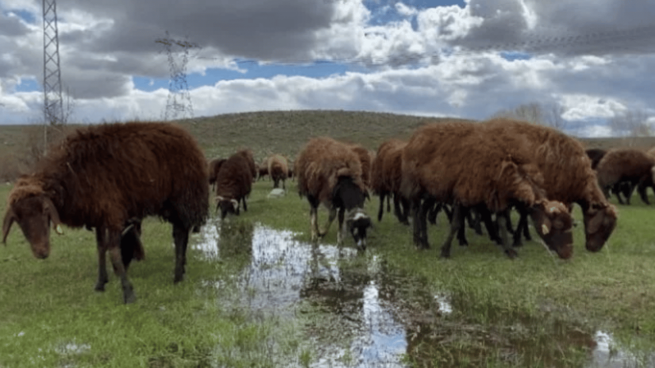Foto - 120 bin lira maaşla işçi bulamıyorlar! Kendi işlerini hallediyorlar!