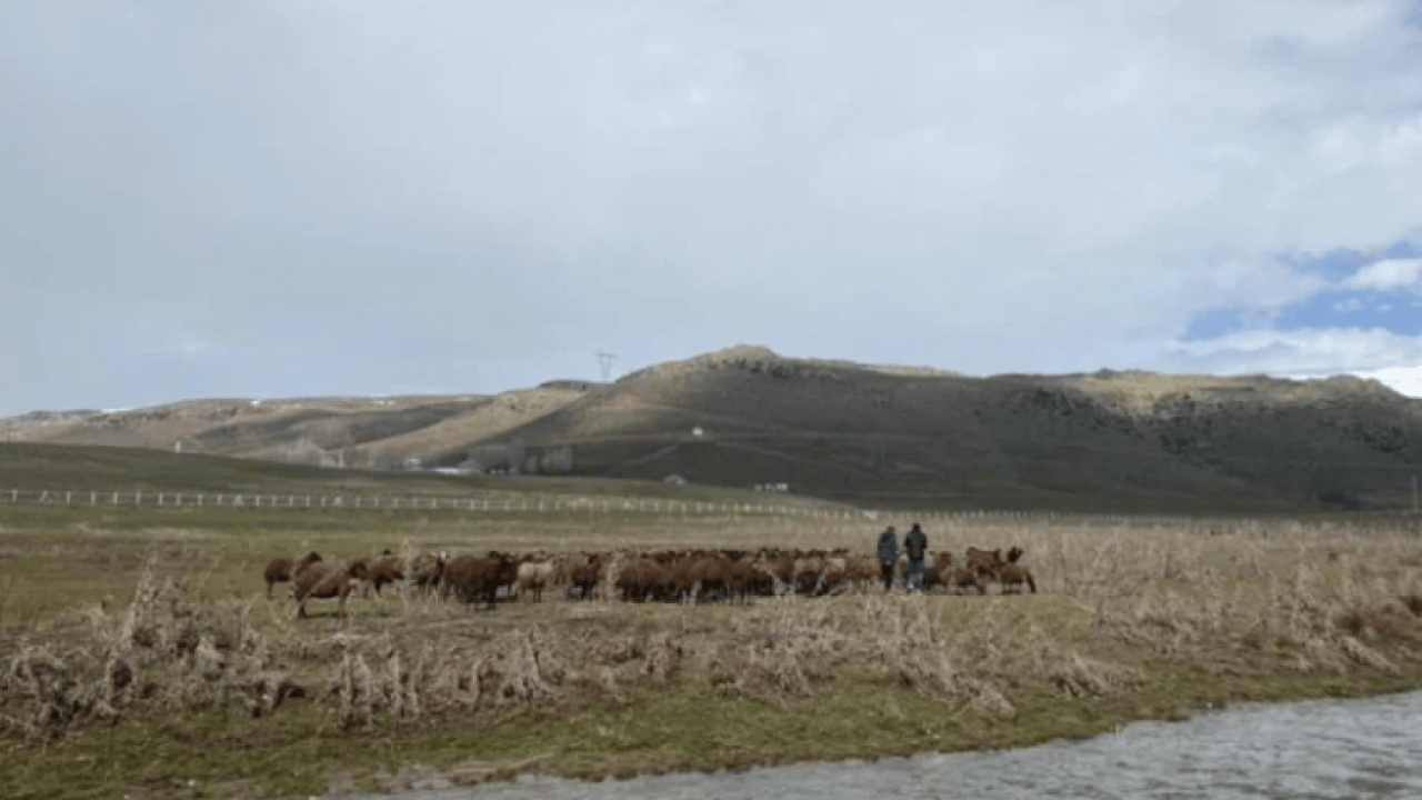 Foto - 120 bin lira maaşla işçi bulamıyorlar! Kendi işlerini hallediyorlar!