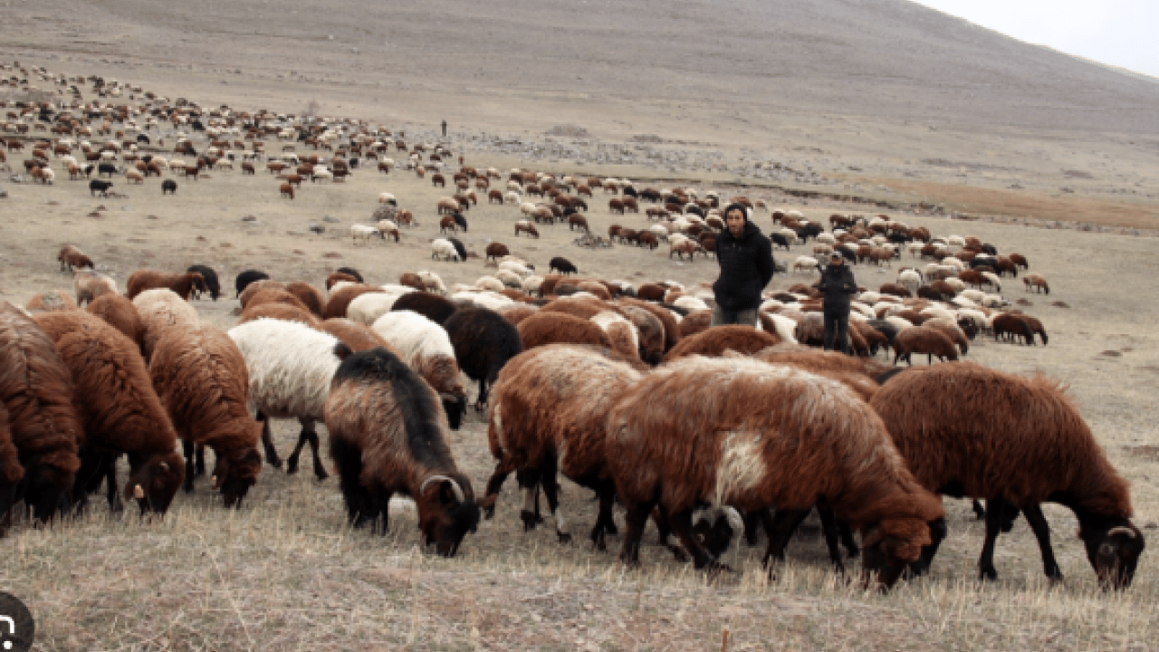 Foto - 120 bin lira maaşla işçi bulamıyorlar! Kendi işlerini hallediyorlar!
