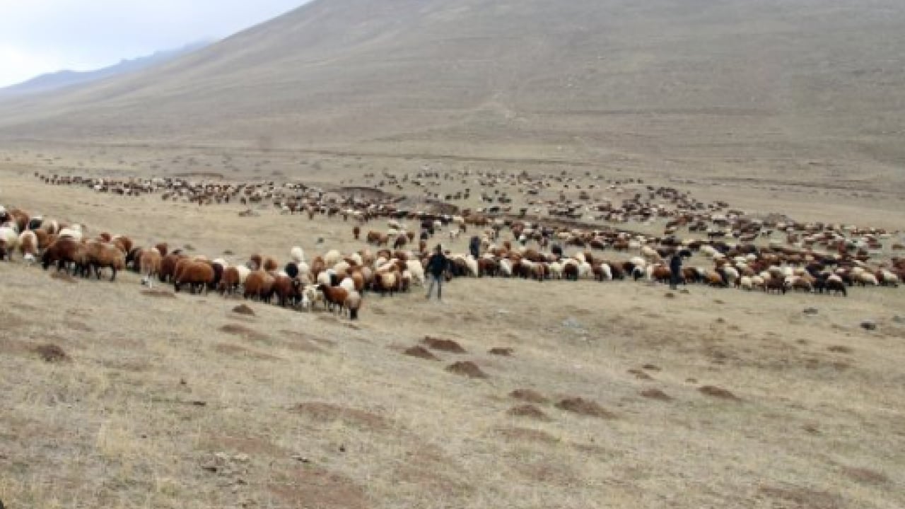 Foto - 120 bin lira maaşla işçi bulamıyorlar! Kendi işlerini hallediyorlar!