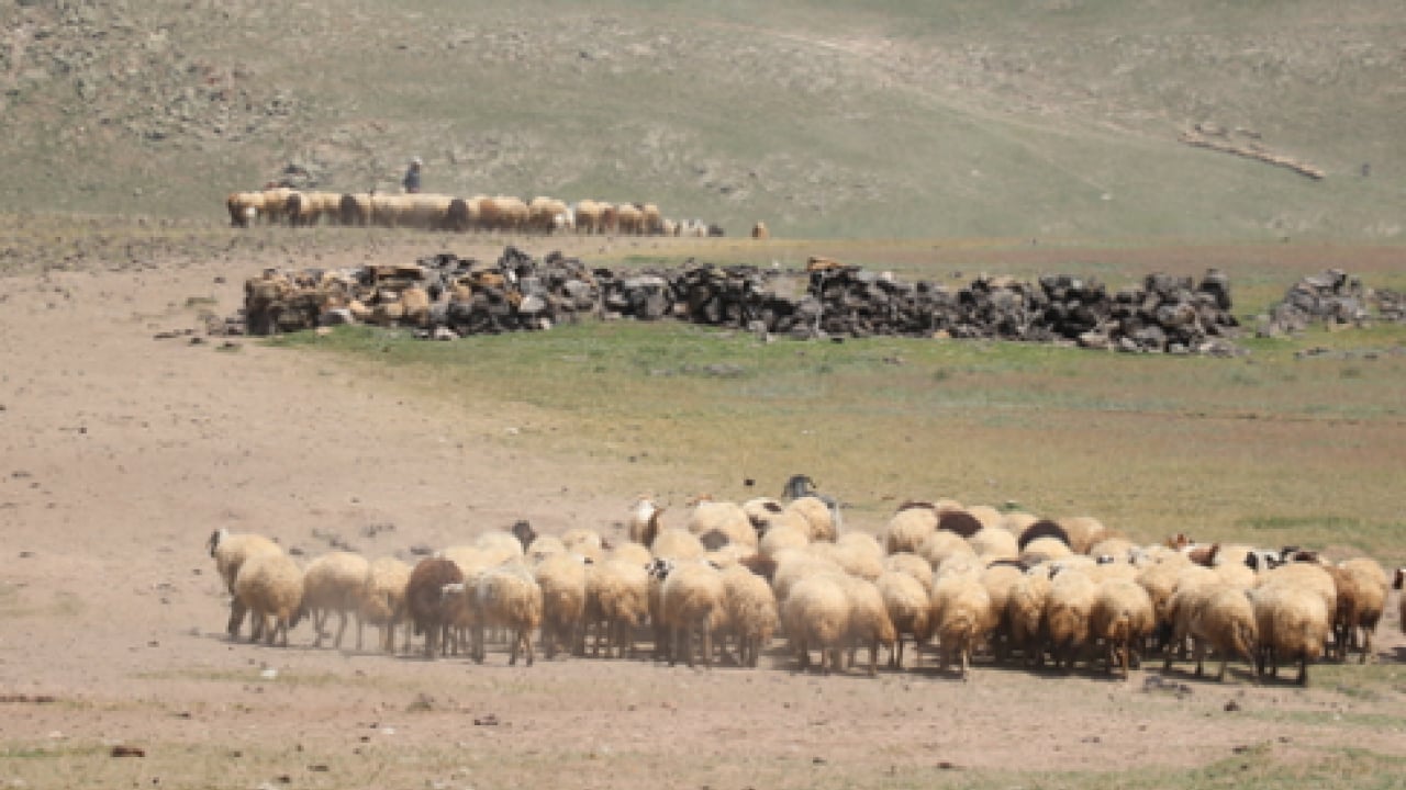 Foto - 120 bin lira maaşla işçi bulamıyorlar! Kendi işlerini hallediyorlar!
