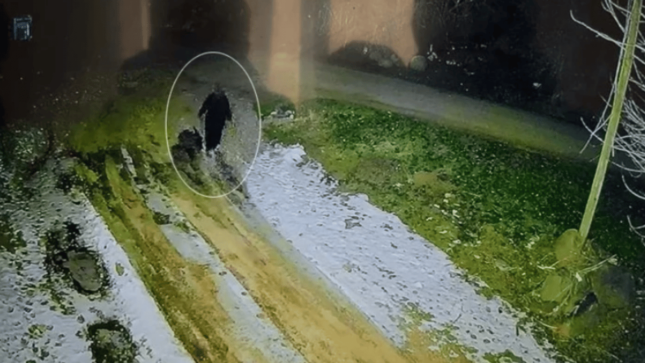 Foto - 13 günlük umut yerini acıya bıraktı: Nimet Kılıç’tan kahreden haber! Cansız bedeni bulundu