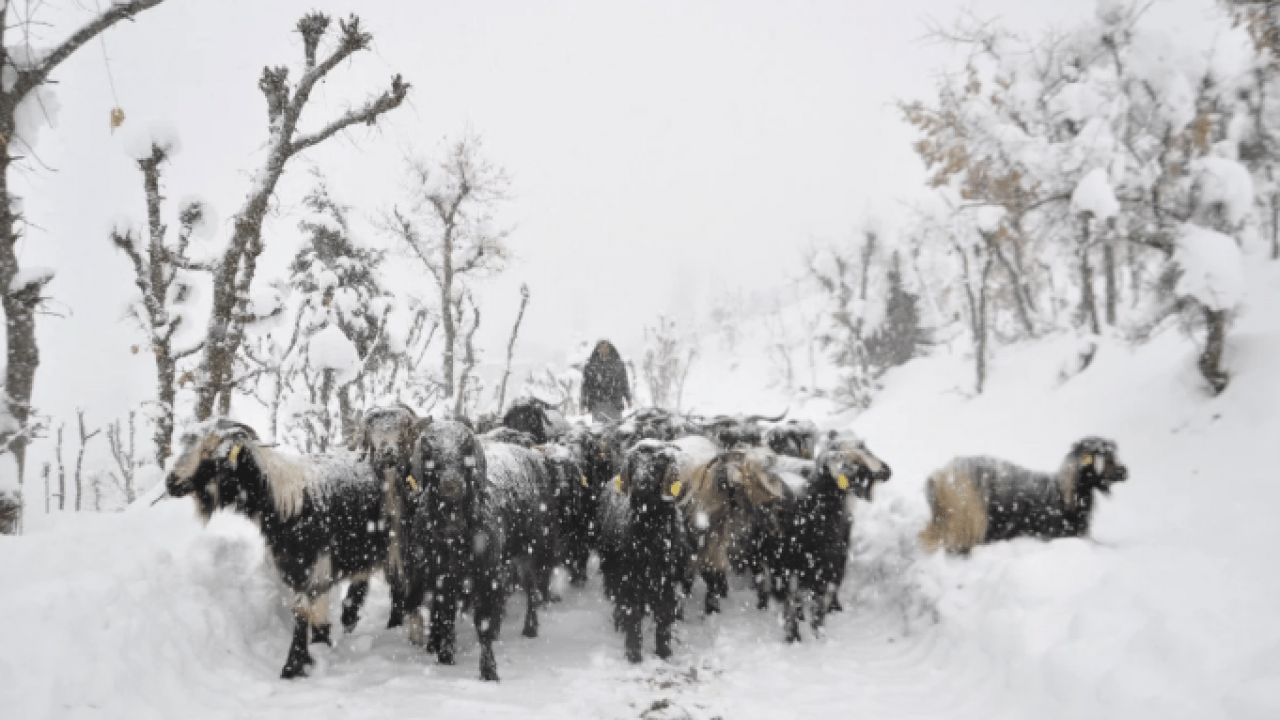 Foto - 13 İlde okullar tatil! Kar ve buzlanma eğitimi vurdu